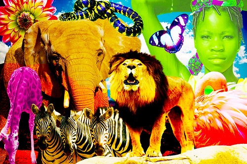 Safari Parks & Zoos